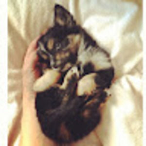 Meet your Posher, Andrei